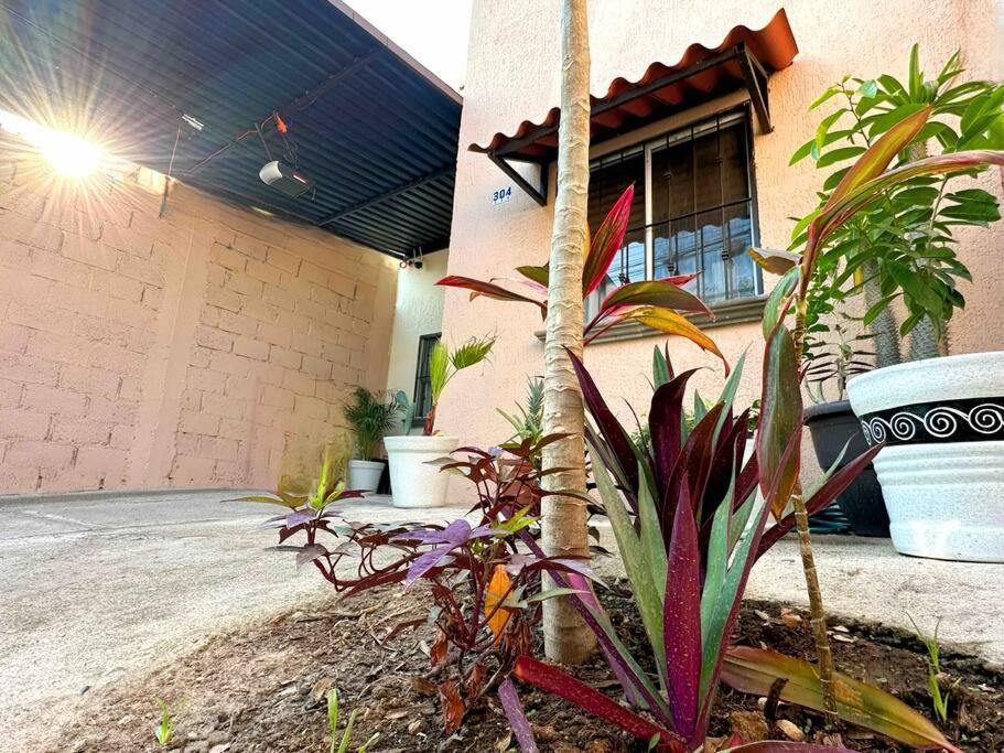 Your In Paradise Sleeps 11 Ferienhaus Puerto Vallarta