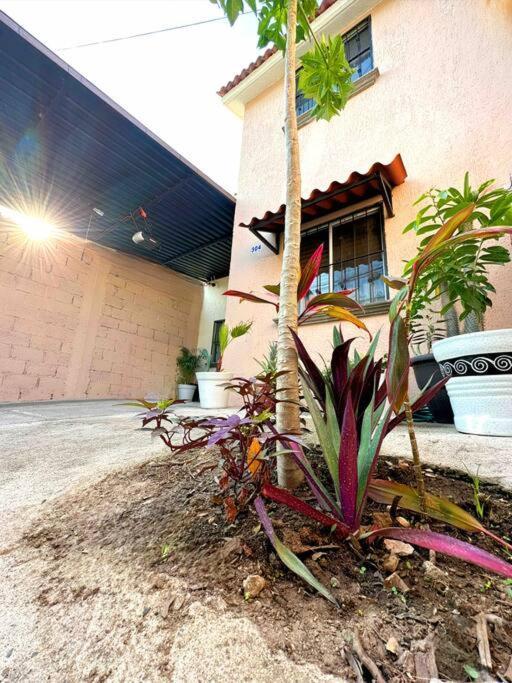 Your In Paradise Sleeps 11 Ferienhaus *